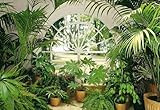 植物ポスター写真壁紙 – Wintergarden 8-parts ( 145 x 100インチ)