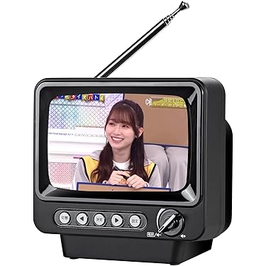 Amazon.co.jp 売れ筋ランキング: ポータブルテレビ の中で最も人気の
