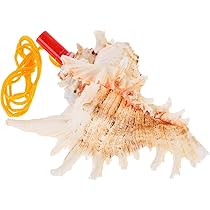 Amazon | VICASKY ホラ貝 楽器 法螺貝ホイッスル 子供用巻貝