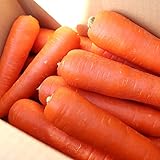 にんじん 人参 国産 ニンジン 人参ジュース にんじんジュース (1kg)