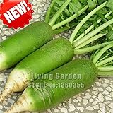 新しい種子50個/袋グリーン大根の種子で非常においしい栄養健康グルメ野菜の種子最高品質大根種子