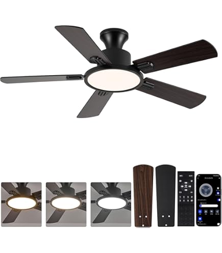 Amazon.co.jp : シーリングファン coizabera 6-10畳 シーリング