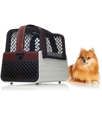 Amazon.co.jp: 4Pets ペントハウス ペット キャリー ロサンゼルス 小型