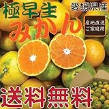 愛媛産 極早生みかん5K（家庭用）