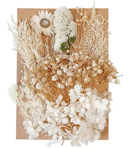 Amazon | かすみ草 ドライフラワー プリザーブドフラワー ちょっとずつ