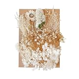 ハンドメイド材料 花資材 小分け ハーバリウム プリザーブドフラワー ドライフラワー クラフト 花材セット 手作りミニ押し花ド 小さめ繊細で オリジナル素材アクセサリー製作（ホワイト）