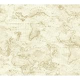 York Wallcoverings Nautical Living Coastalマップ壁紙 Wallpaper NY4835 1