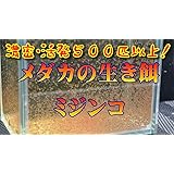 Amazon わさび 針子の餌 Premium めだか 針子の生存率向上 成長促進 わさび 餌 通販