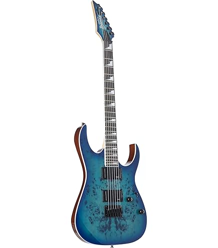 Amazon.co.jp: Ibanez アイバニーズ Artcore AF55 Hollow-Body エレキ