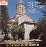 CD�G�X�j�b�N�E�T�E���h�E�V���[�Y17 �T�J���g�x����ւ̃|���t�H�j�[-�����̗����J�t�J�Y�̍���-
