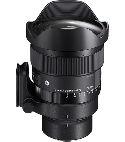 Amazon.co.jp: シグマ(Sigma) SIGMA シグマ Lマウント レンズ