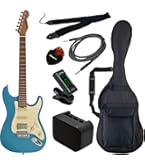 Amazon | SELDER セルダー エレキギター ストラトキャスタータイプ