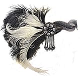 Amazon Co Jp Baoxinjp 羽根 ヘアアクセサリー インディアン レディース 羽 髪飾り エスニック リバイバル ヘアアクセ 髪飾り 子供かわいい ヘアピン 黒 ヘッドバンド 撮影 演出 ダンス パーティー 成人式 お祭り コスチューム おもちゃ