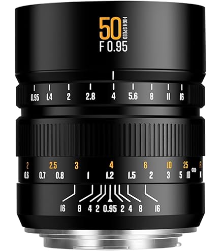 Amazon.co.jp: 35mm F2 DG シルバー Contemporary ライカLマウント 単