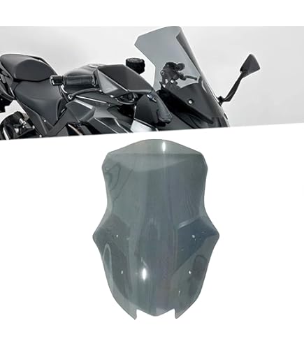 Amazon | BEET(ビート) スクリーン スモーク Ninja1000SX