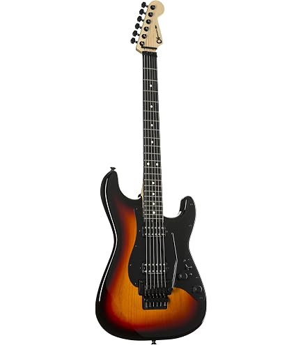 Amazon | Charvel/Pro-Mod So-Cal Style 2 24 HH 2PT CM Ash