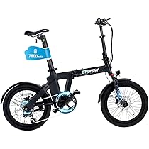 Amazon.co.jp: ERWAY 電動自転車バッテリー 【 ERWAY専用