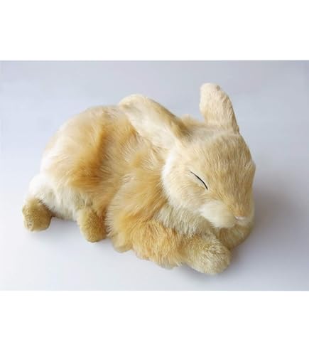 Amazon.co.jp: ニニアンドキノ パーフェクトペット (小サイズ) ウサギ