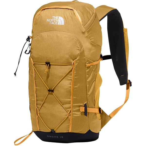 Amazon | [THE NORTH FACE] Standard Rain Cover 20L サミットゴールド
