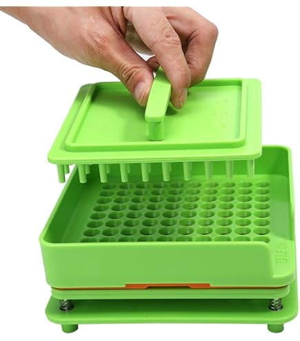 Amazon.co.jp: 304ステンレス鋼製の防水タイムカプセル、将来の卒業