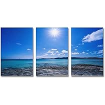 Amazon.co.jp: 3枚 沖縄県 久米島・奥武島の畳石 絵画 インテリア