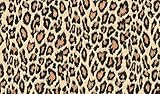 Fablon FAB12134 Leopard Adhesive Film [並行輸入品]
