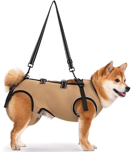 Amazon | With(ウィズ) 歩行補助ハーネスLaLaWalkホールド小型犬用