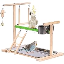 マロインコアスレチックジムツリー 楽天市場】インコ 鳥の止まり木 バードアスレチック 止まり木