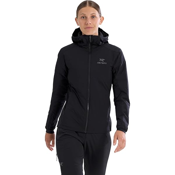 Amazon.co.jp: [アークテリクス] Rho LT Zip Neck Men's ロー LT