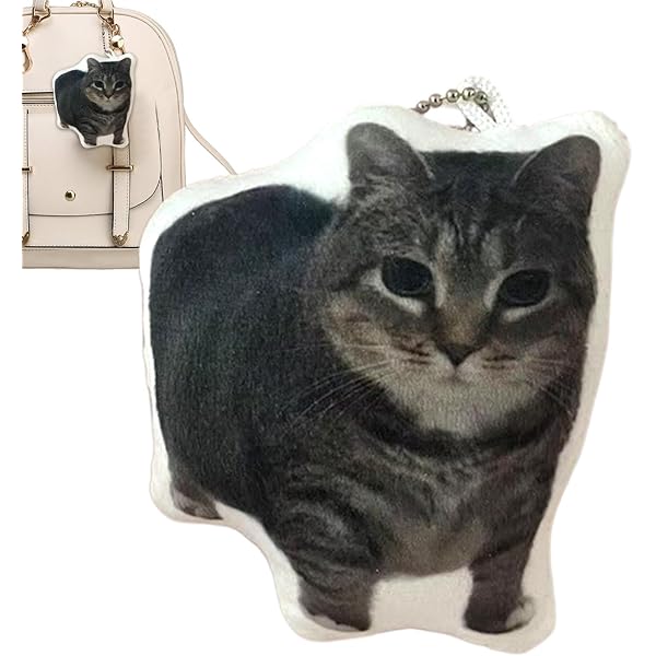 Amazon.co.jp: [Hcipw] oiia猫のぬいぐるみキーチェーン