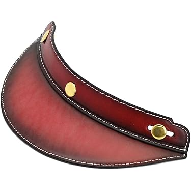 Amazon.co.jp 最新リリース: バイク用ヘルメットバイザー の新着