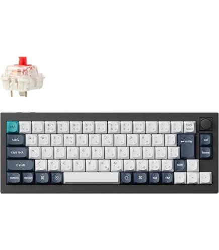 Amazon | Keychron Q5 96%レイアウト 有線 カスタム メカニカル