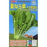 ナント種苗 F1大和まな 夏なら菜(つけな)