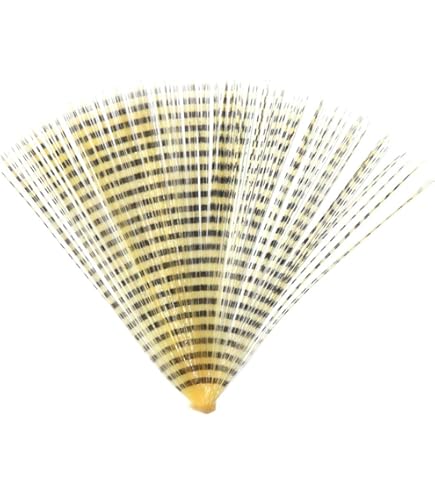 フライ　マテリアル フライタイイング マテリアル | Fly Material | Hermit
