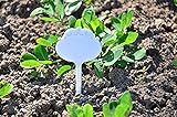 Lautechco 防水プラスチック保育園の庭には、再利用可能なプラスチック製の植物種子タグラベル 20枚 (白)