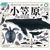 Amazon | ネイチャーテクニカラー 海洋1 特装版 4種セット
