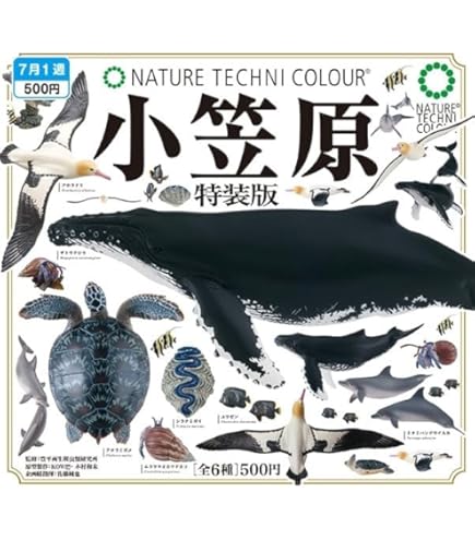 Amazon.co.jp: ネイチャーテクニカラー 南極 特装版 [全6種