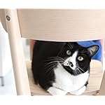 猫 Android(960×800)待ち受け ねこのきもち大判カレンダー2024 猫 Android(960×800)待ち受け ねこのきもち大判カレンダー2024