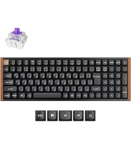Amazon | 【国内正規品】Keychron K2 HE ラピッドトリガー ワイヤレス