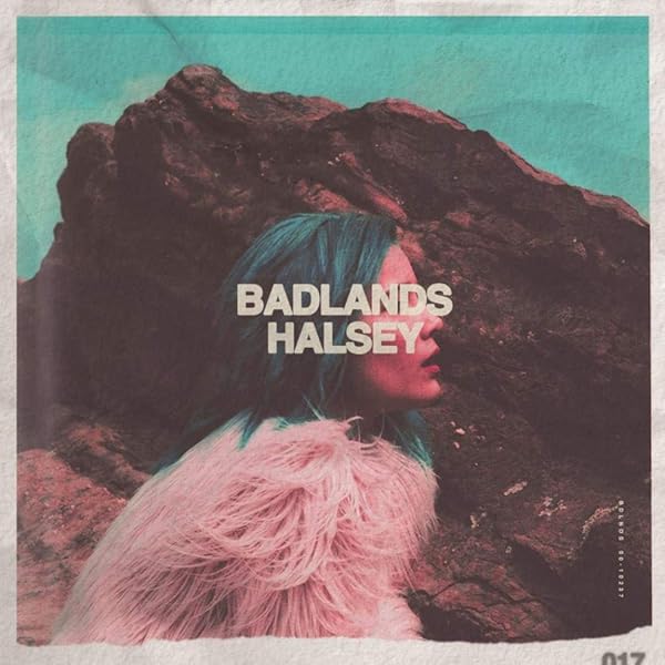 ホールジー直筆サイン入り超 特大写真…Halsey Halsey（ホールジー）、人気グラフィック・デザイナーVerdyとの