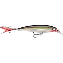 rapala ラパラ　ルアー Amazon.co.jp: Rapala(ラパラ) ミノー Xラップ 8cm 7g ゴールド G XR8