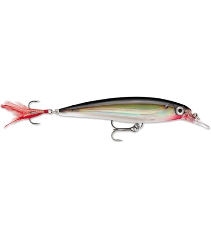 Amazon.co.jp: Rapala(ラパラ) ミノー Xラップ 8cm 7g ゴールド G XR8