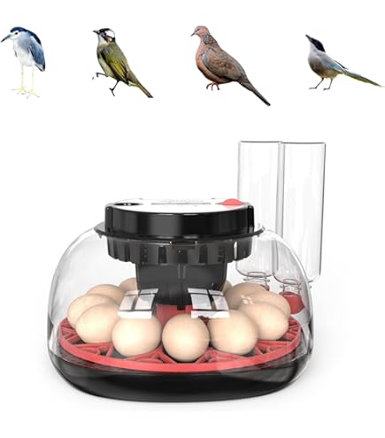 Amazon.co.jp: アールコム Rcom10シリーズ 小型孵卵器 (アールコム