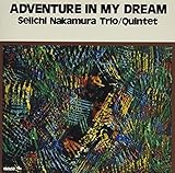 アドヴェンチャー・イン・マイ・ドリーム