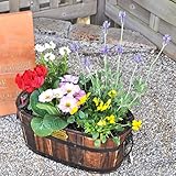 花由 花色とプランターが選べる寄せ植え 季節のおまかせカントリーガーデン 楕円の焼き杉 5日後以降で指定