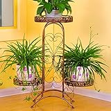 フラワースタンド フラワースタンド鍛鉄フラワースタンドフロアスタンドガーデンシェルフシンメトリー Flower racks (色 : D)