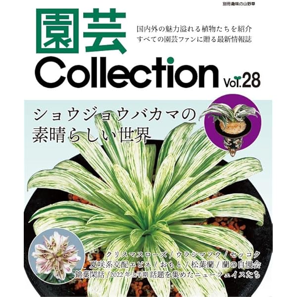 趣味の山野草 趣味の山野草2024年1月号 | 栃の葉書房 |本 | 通販 | Amazon