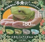 ネイチャーテクニカラー 大きなイエアメガエル [全4種セット(フルコンプ)]いきもん ガチャガチャ カプセルトイ