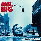 �o���v�E�A�w�b�h