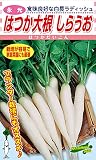 松永種苗 永光 はつか大根 しらうお (ダイコン) 小袋10ml